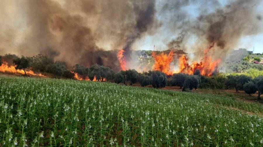 Antalya’da Ormanlık Ve Kırsal Alanda Çıkan Yangın Kontrol Altına Alındı