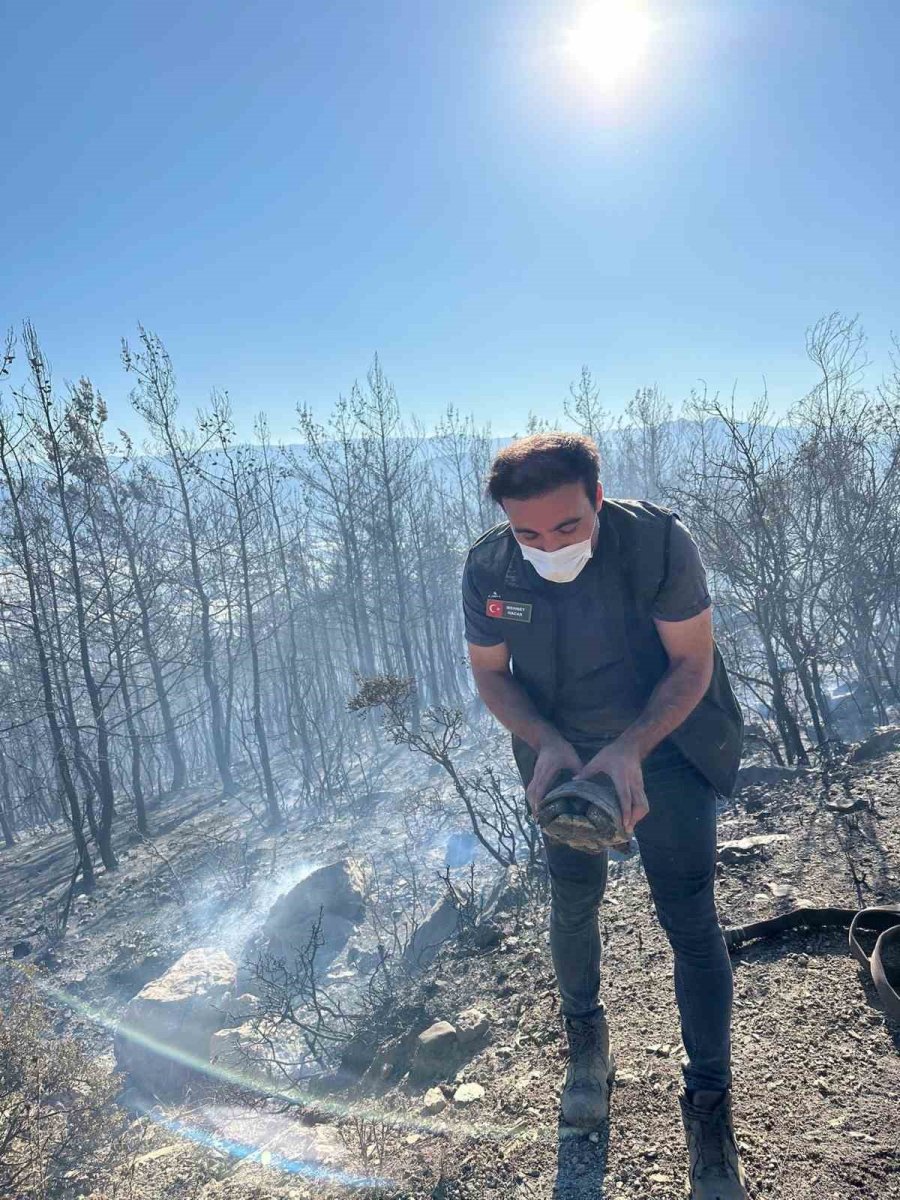 Gazipaşa’daki Orman Yangınında Gözetleme Kulesindeki Personelin Zor Anları Kamerada