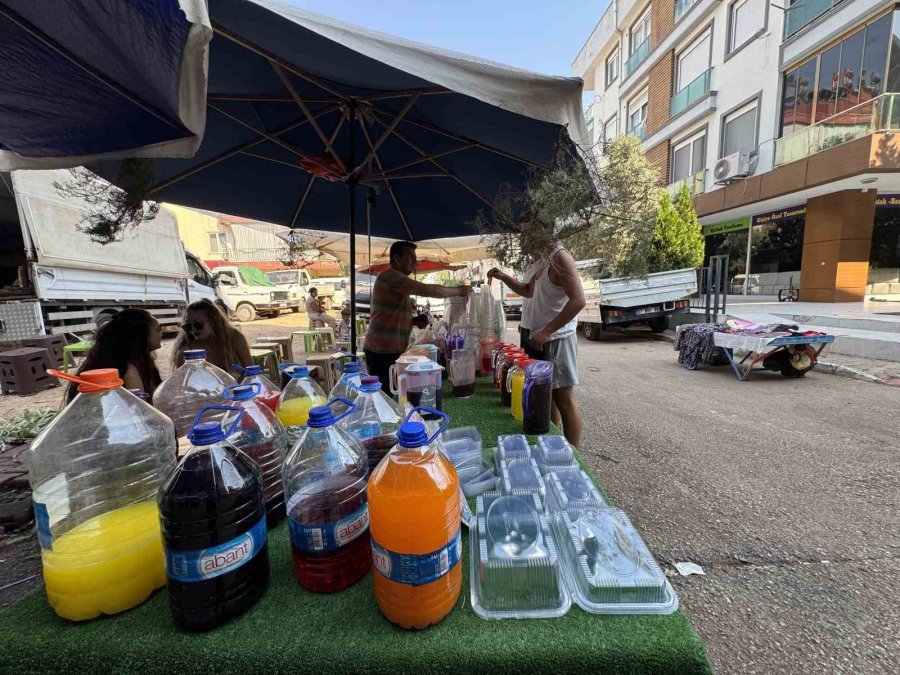 Kar Kütlelerinin 3 Bin Metreden 40 Derece Sıcağa Yolculuğu