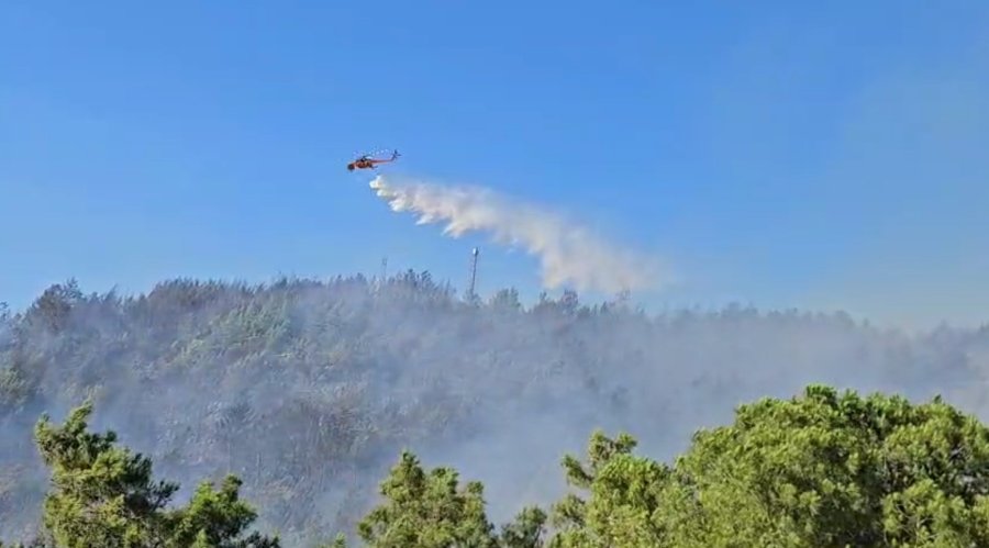 Antalya’daki Orman Yangını 3 Saatte Kontrol Altına Alındı