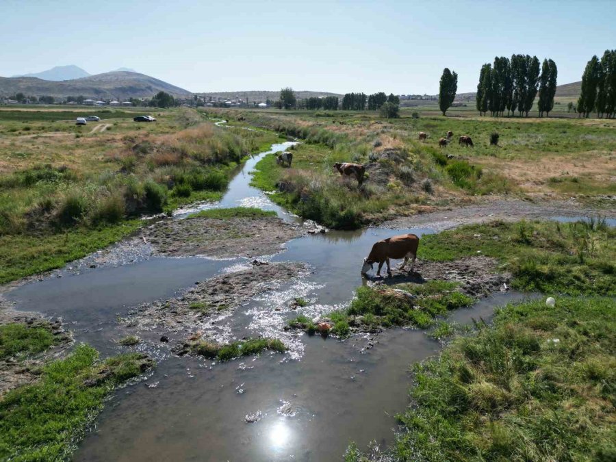 Melendiz Çayı’na Karışan Kanalizasyon Suyu Tehlike Saçıyor