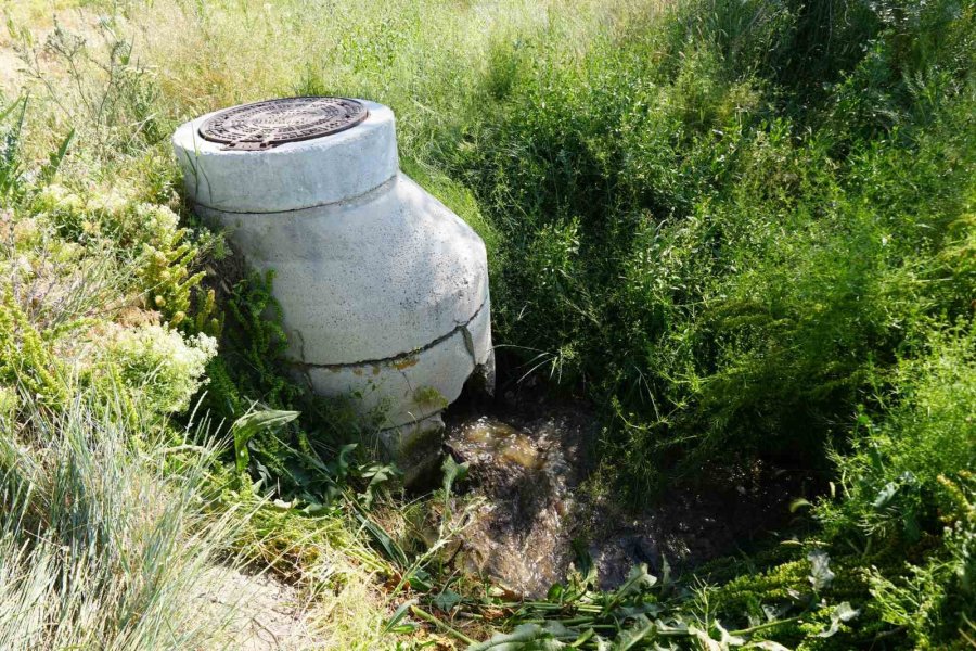 Melendiz Çayı’na Karışan Kanalizasyon Suyu Tehlike Saçıyor