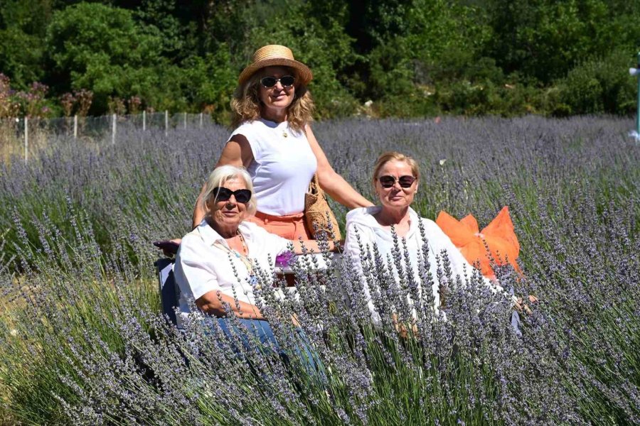 Kemer’de "mor Turizm" Başladı