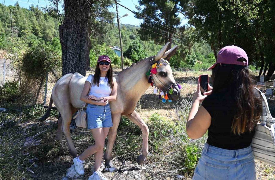 Kemer’de "mor Turizm" Başladı