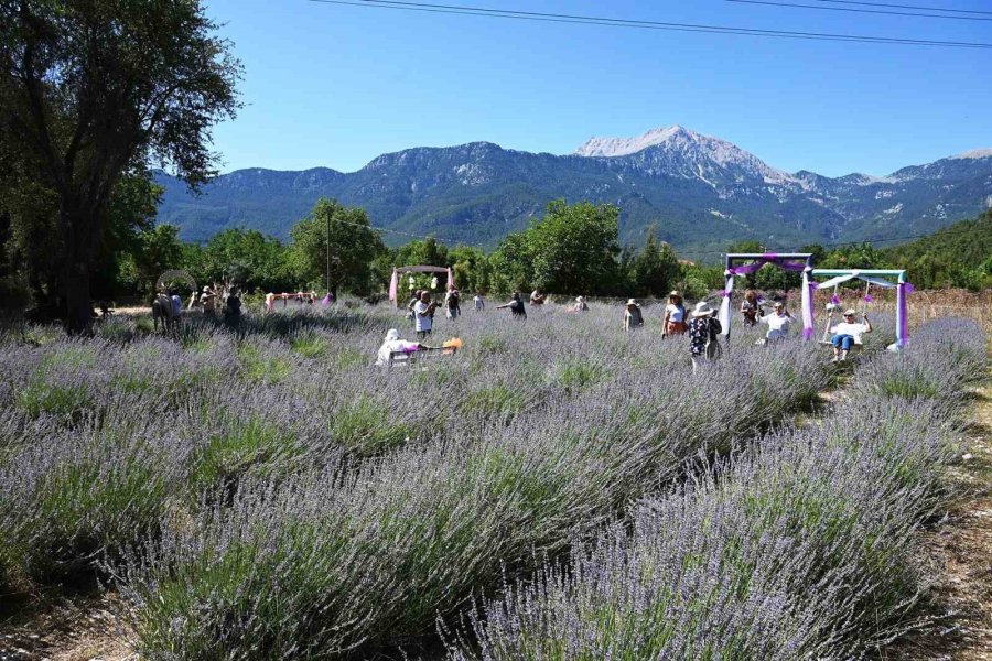 Kemer’de "mor Turizm" Başladı