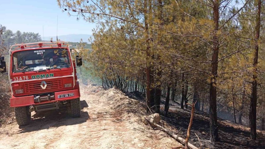 Mersin Mut’ta Orman Yangını