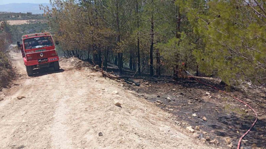 Mersin Mut’ta Orman Yangını
