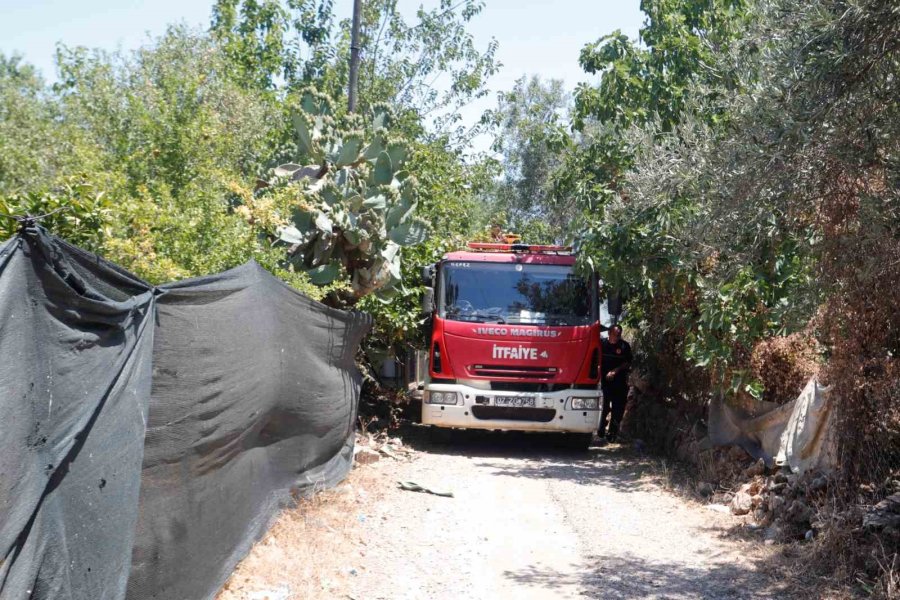Farklı Noktalarda Çıkan Otluk Ve Ağaçlık Yangını Evlere Birkaç Metre Kala Söndürüldü