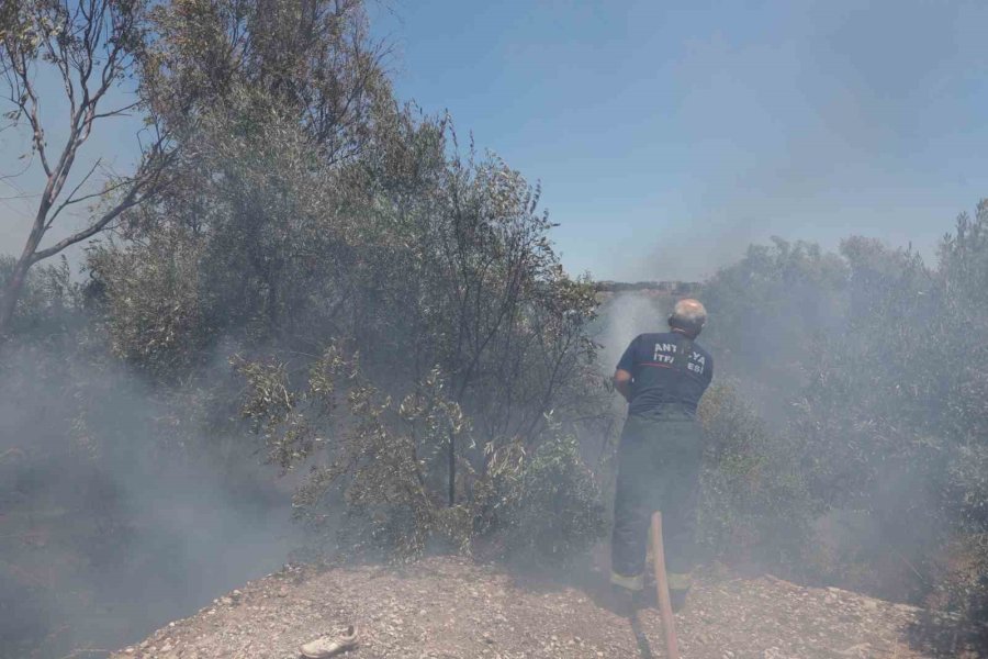 Farklı Noktalarda Çıkan Otluk Ve Ağaçlık Yangını Evlere Birkaç Metre Kala Söndürüldü
