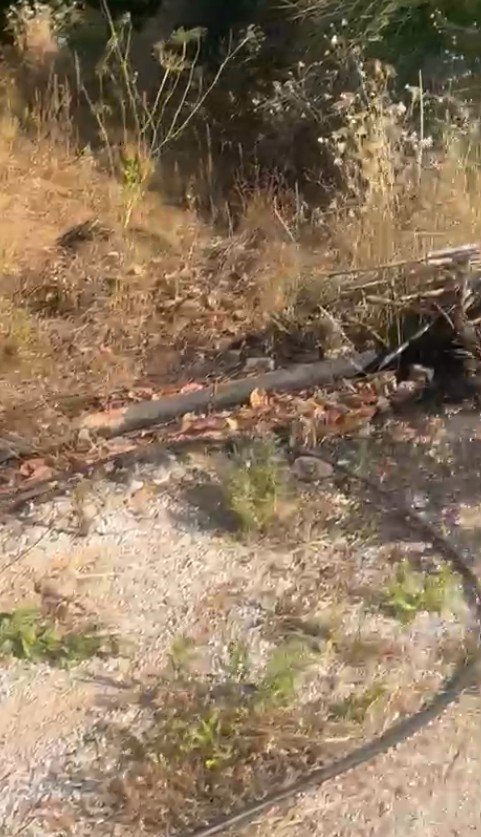 Havalar Isındı, Trafo Ve Elektrik Direk Yangınları Başladı