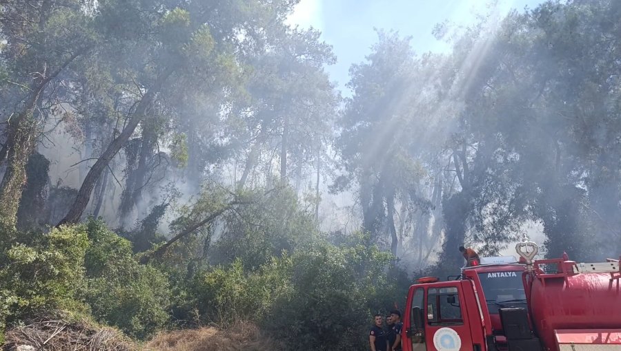 Manavgat’ta Ormanlık Alan Yangınında 3 Hektar Alan Zarar Gördü