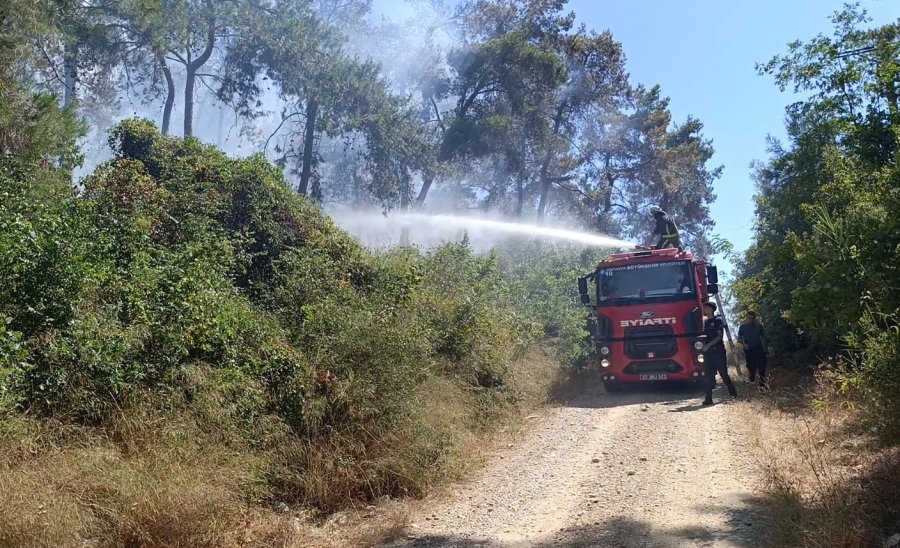 Manavgat’ta Ormanlık Alan Yangınında 3 Hektar Alan Zarar Gördü