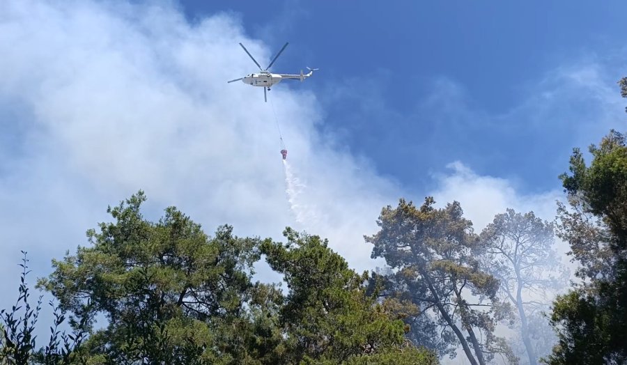 Manavgat’ta Ormanlık Alan Yangınında 3 Hektar Alan Zarar Gördü