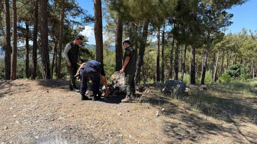 Tarsus’ta Orman Yangınlarına Karşı Ortak Devriye