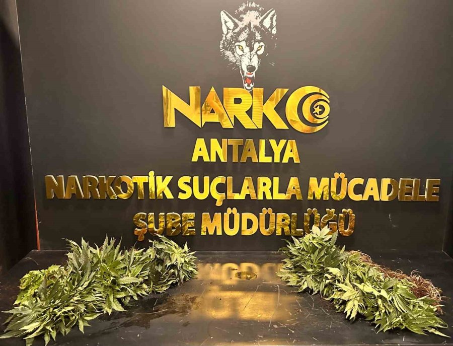 Antalya’da 1 Haftada 32 Şüpheli Yakalandı, 17’si Tutuklandı
