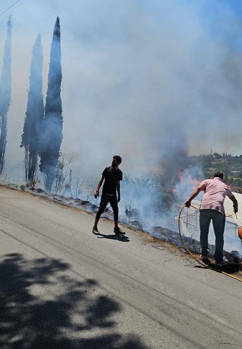 Antalya’da Çıkan Yangında Palmiye Ağaçları Küle Döndü