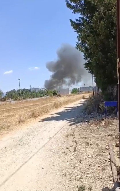 Antalya’da Çıkan Yangında Palmiye Ağaçları Küle Döndü