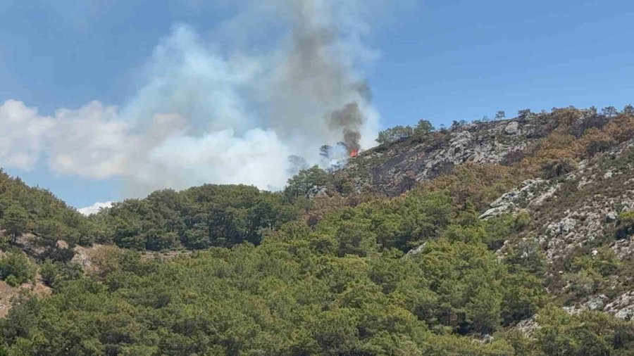Gazipaşa’da Ormanlık Alanda Yangın