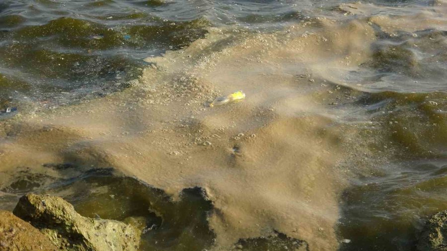 Doğu Akdeniz’de Kirlilik Gözle Görülür Hale Geldi