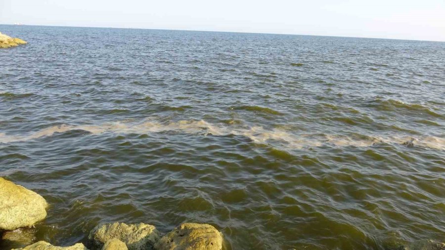 Doğu Akdeniz’de Kirlilik Gözle Görülür Hale Geldi
