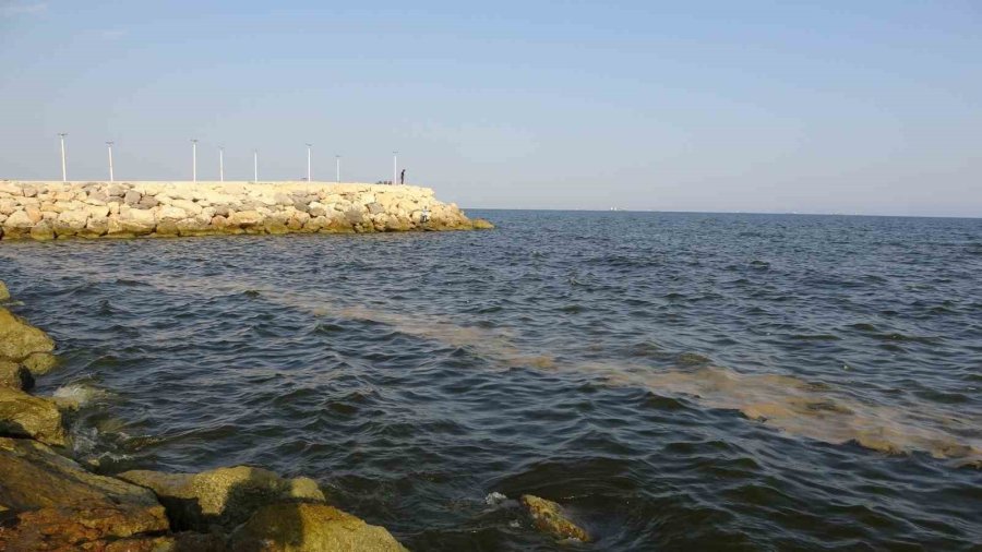 Doğu Akdeniz’de Kirlilik Gözle Görülür Hale Geldi