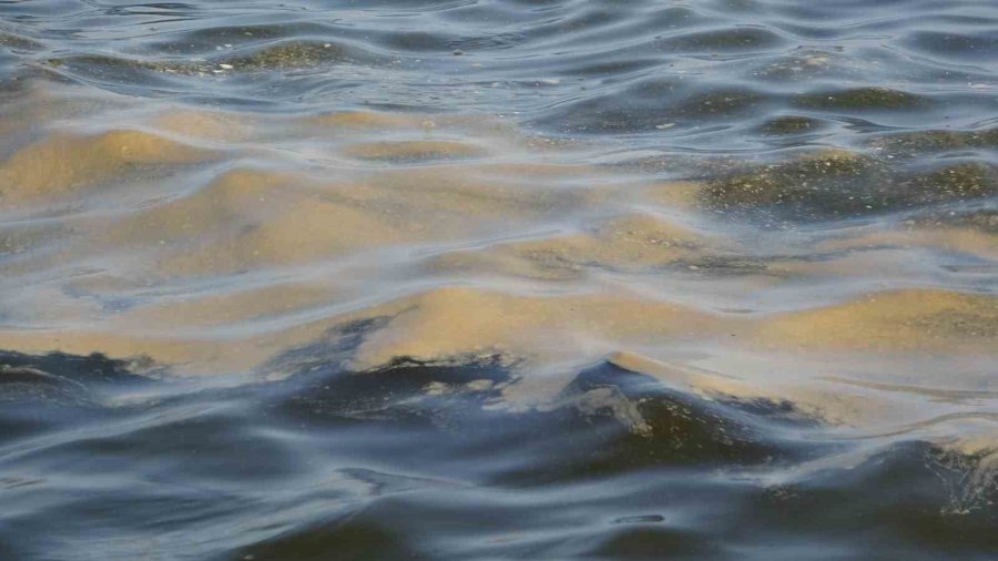 Doğu Akdeniz’de Kirlilik Gözle Görülür Hale Geldi