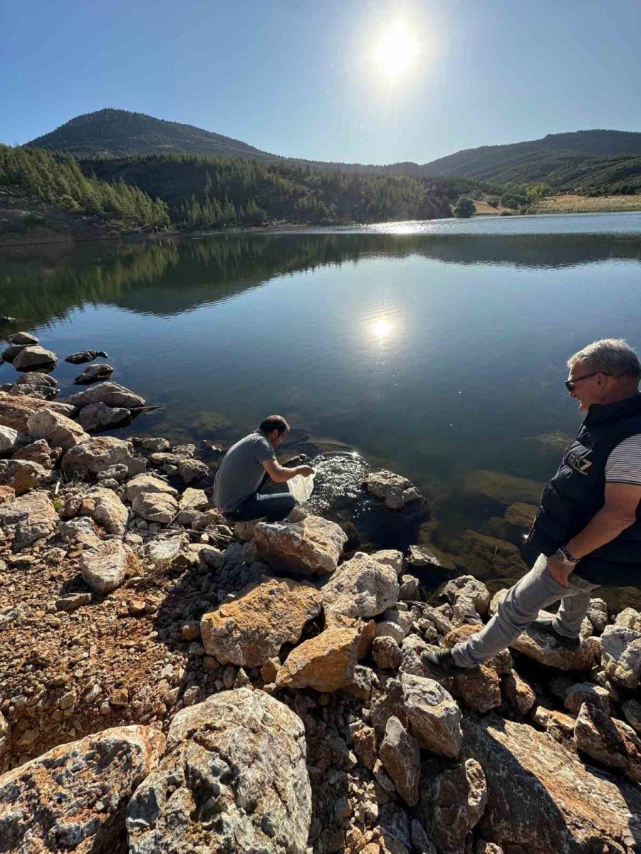 Hüyük’te Göletler Balıklandırıldı