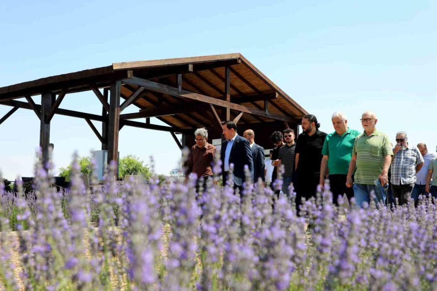 Hasan Kılca, Karatay Lavanta Bahçesi’nde Konya Basınıyla Buluştu