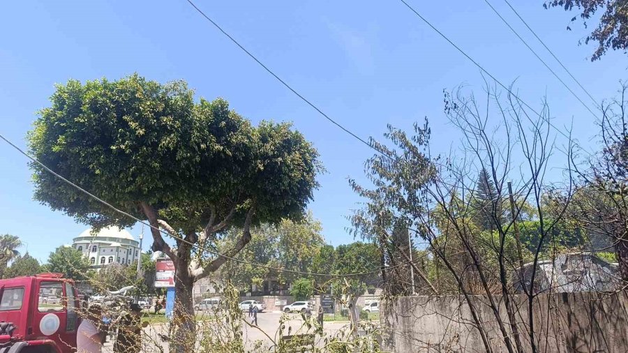 Manavgat’ta Çıkan Çalılık Yangını Korkuttu