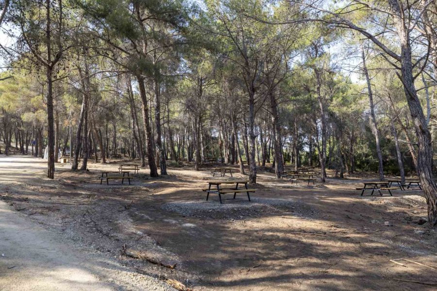 Mersin’de Emirler Orman Parkı Piknik Alanı’nda Ateş Yakmak Yasaklandı