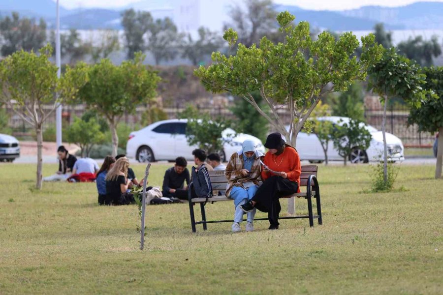 Kene Kaynaklı 3 Hastalığa Dikkat