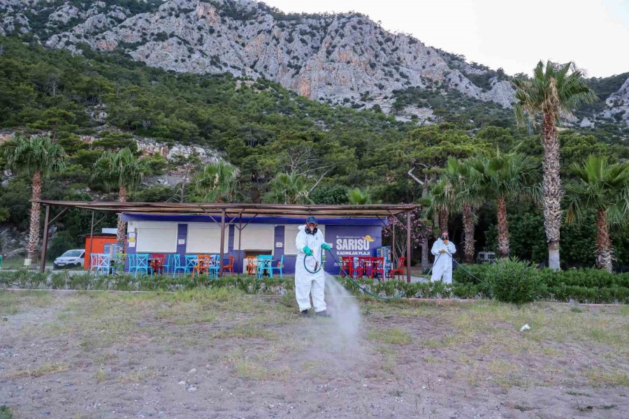 Antalya’da Haşerelere Karşı Mücadele Çalışmaları Mesire Alanlarında Da Sürüyor