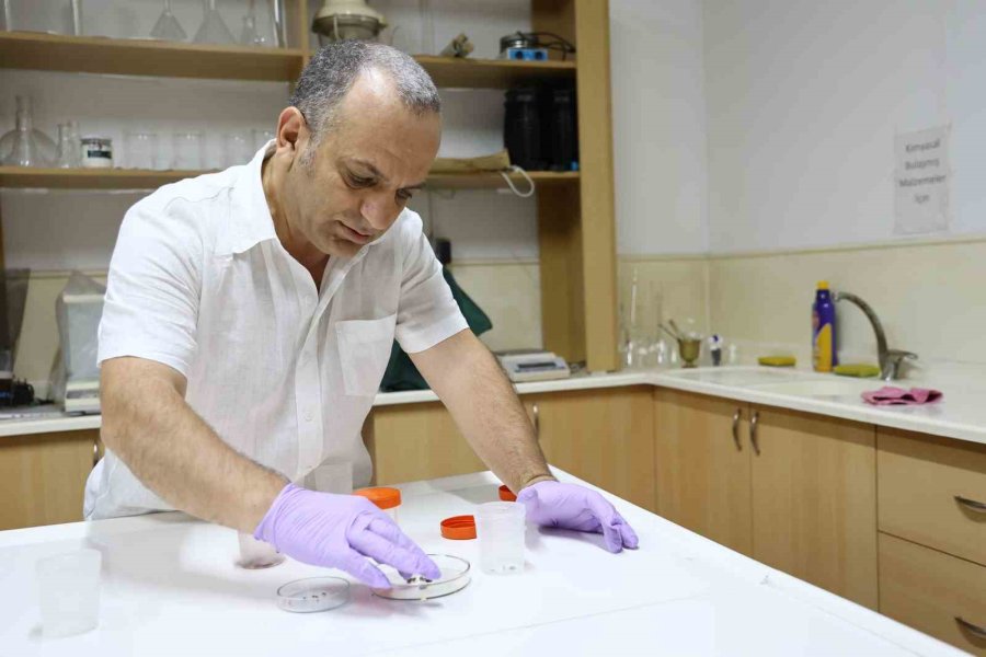 Antalya’da Haşerelere Karşı Mücadele Çalışmaları Mesire Alanlarında Da Sürüyor