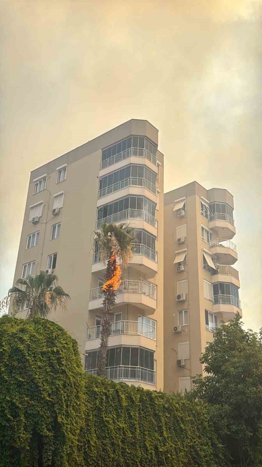 Orman Yangınında Alev Alan 6. Kattaki Evin Balkonuna Toma Müdahalesi