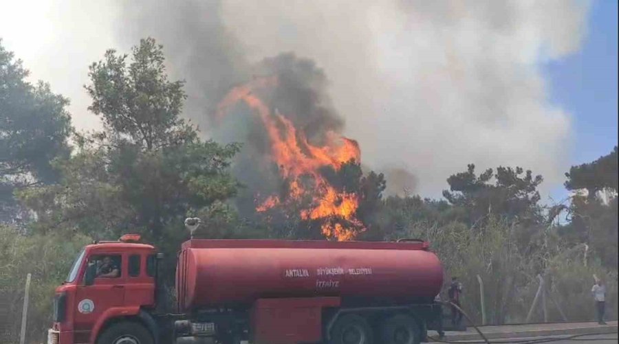 Orman Yangınına Ekiplerin Alevlerle Cansiparane Mücadelesi