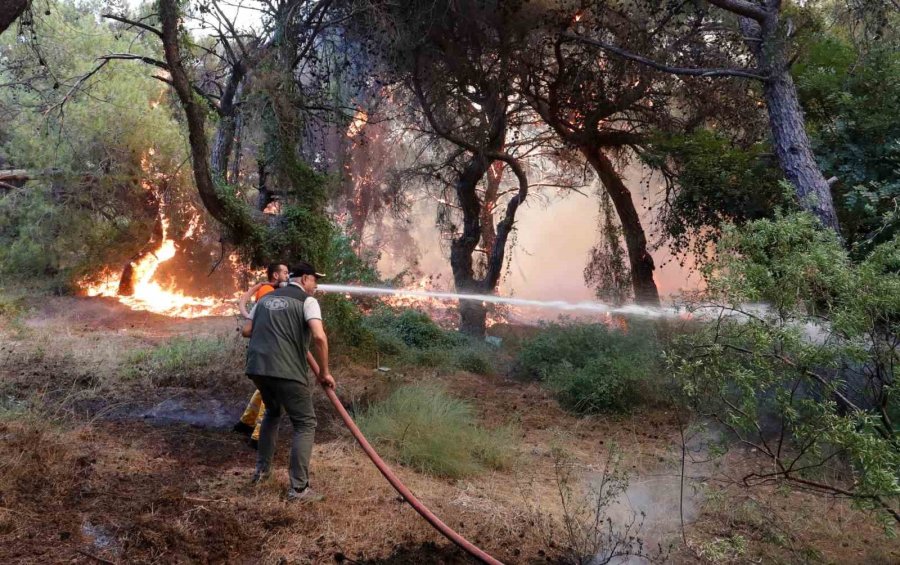 Orman Yangınına Ekiplerin Alevlerle Cansiparane Mücadelesi