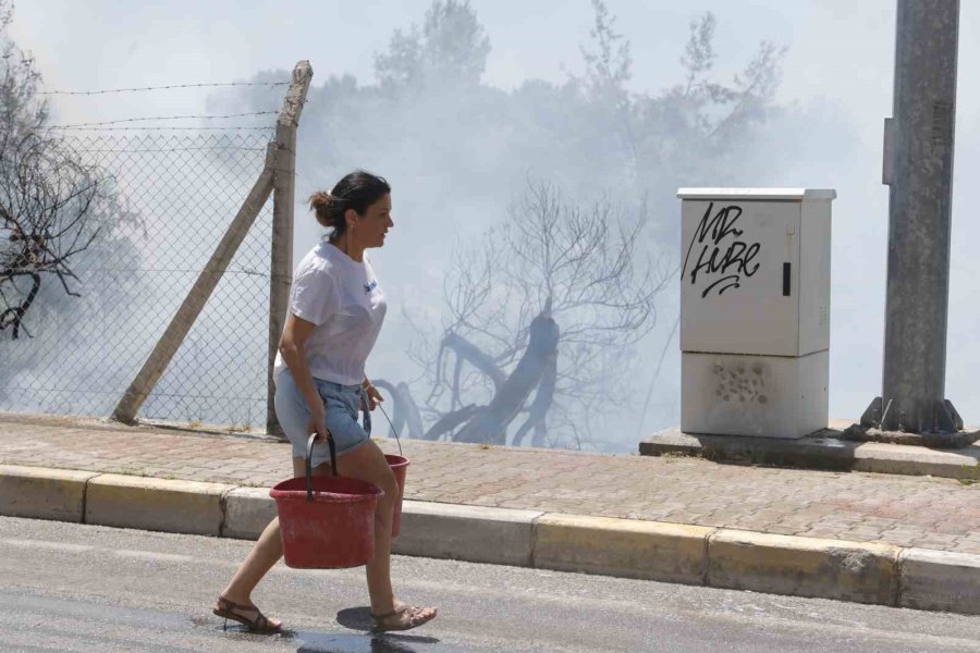 Orman Yangınına Ekiplerin Alevlerle Cansiparane Mücadelesi