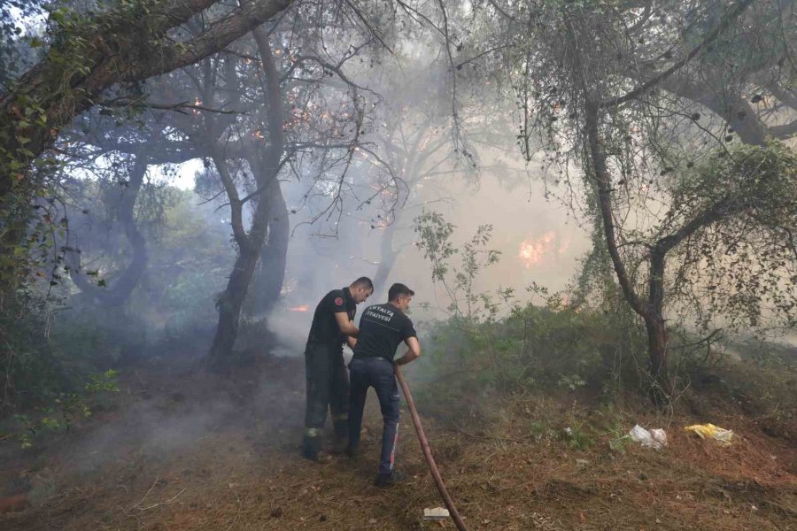 Orman Yangınına Ekiplerin Alevlerle Cansiparane Mücadelesi