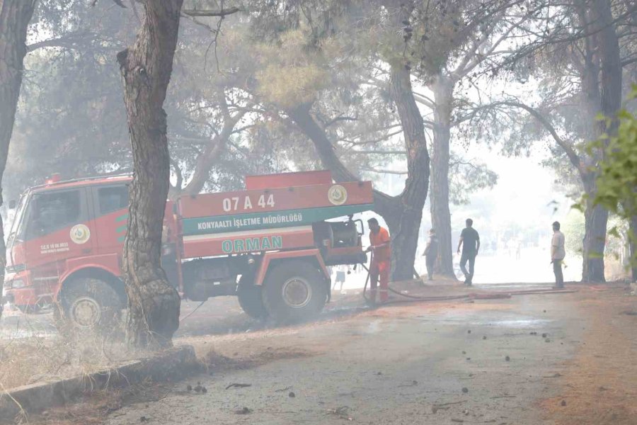 Orman Yangınına Ekiplerin Alevlerle Cansiparane Mücadelesi