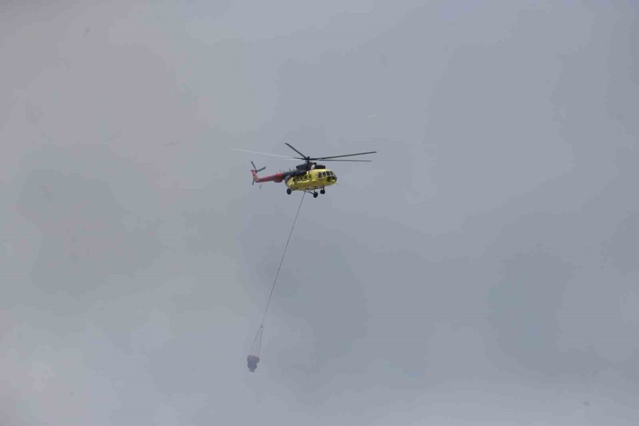 Orman Yangınına Ekiplerin Alevlerle Cansiparane Mücadelesi