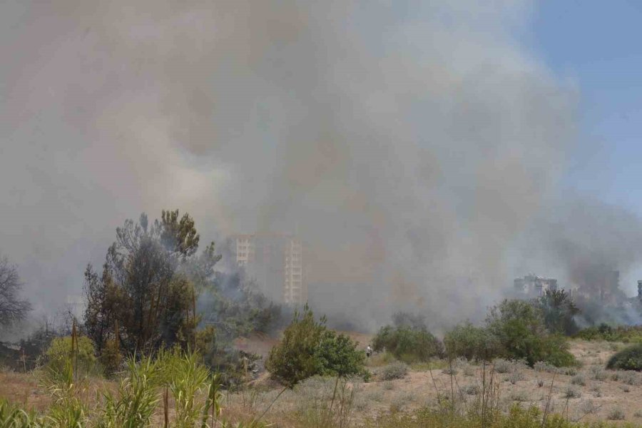 Orman Yangınına Ekiplerin Alevlerle Cansiparane Mücadelesi