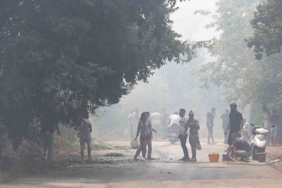 Orman Yangınına Ekiplerin Alevlerle Cansiparane Mücadelesi