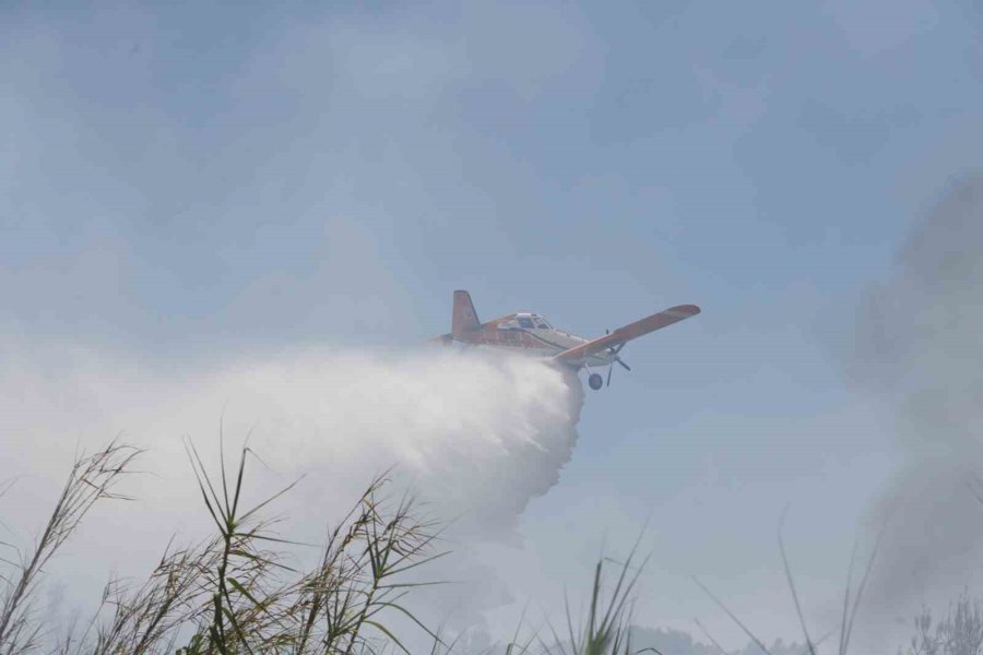 Orman Yangınına Ekiplerin Alevlerle Cansiparane Mücadelesi