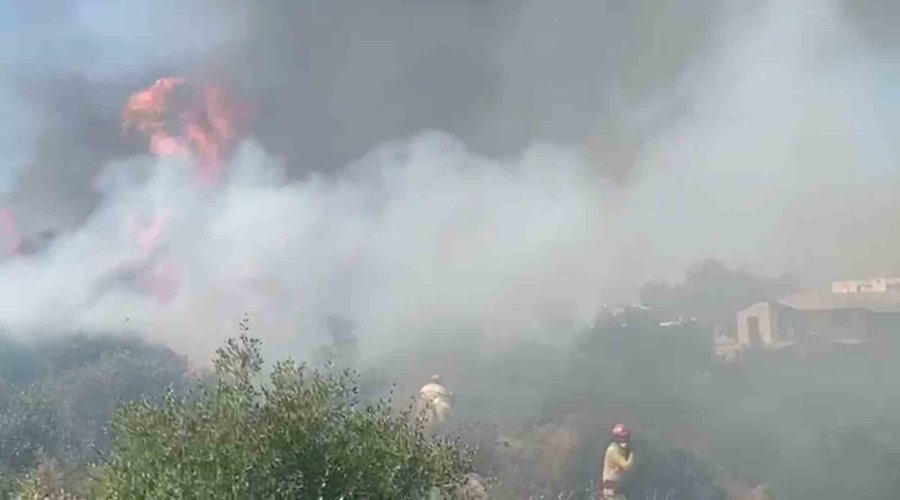 Antalya’da Yerleşim Alanına Yakın Ağaçlık Alanda Yangın
