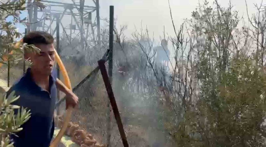 Antalya’da Yerleşim Alanına Yakın Ağaçlık Alanda Yangın