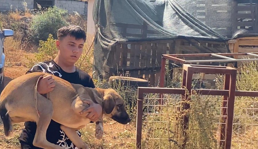 Evine Yaklaşan Alevlerden Kurtarılan Kadın Tekerlekli Sandalyeyle Bölgeden Uzaklaştırıldı