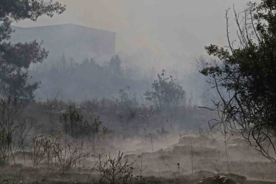Yangında Oyuncaklarını Bırakıp Ebeveynlerine Yardım Ettiler