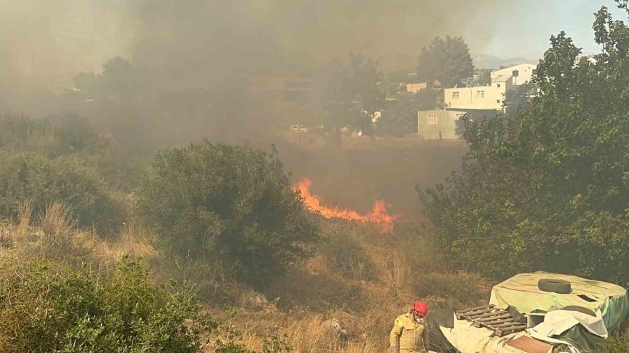 Mahallede Çıkan Yangın Paniğe Neden Oldu: Vatandaşlar Ve İtfaiye Alevlere Karşı Mücadele Etti