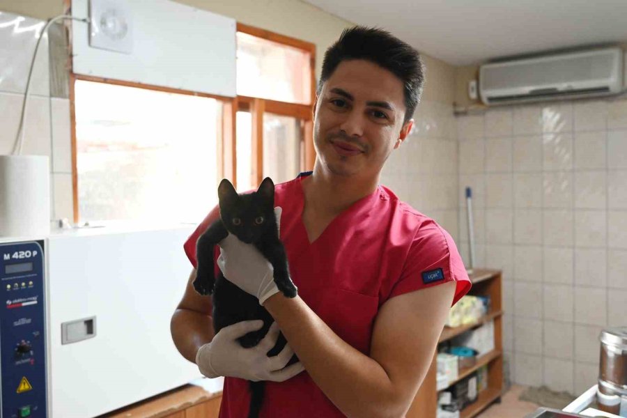 Kemer Belediyesi, Haziran’da 50 Canı Sahiplendirdi