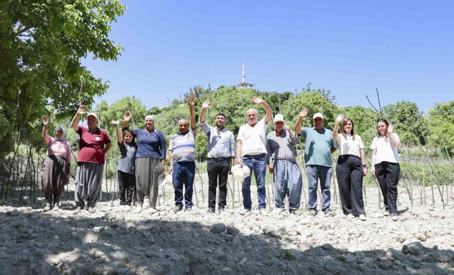 Mersin Büyükşehir Belediyesinden Gülnar’da Yerel Tohuma Destek